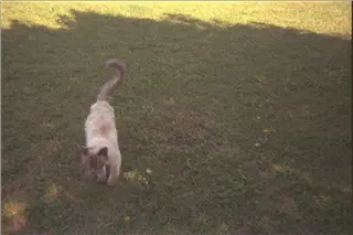 small_9400 0662 cew family etcIMG0009.webp